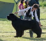 Превью фото № 100034