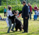 Превью фото № 100037