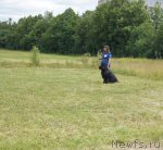 Превью фото № 100077