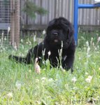 Превью фото № 100102