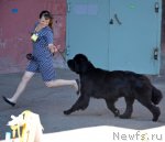 Превью фото № 100199