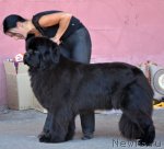 Превью фото № 100213