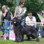 Превью фото № 100292