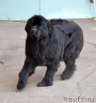 Превью фото № 100351