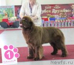 Превью фото № 100434