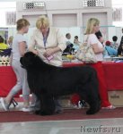 Превью фото № 100439