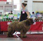 Превью фото № 100441