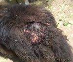 Превью фото № 100567