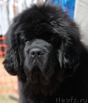 Превью фото № 100820