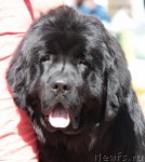 Превью фото № 100864