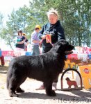 Превью фото № 100973