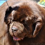 Превью фото № 100994