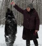 Превью фото № 10178