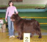 Превью фото № 10188