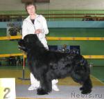 Превью фото № 10191