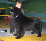 Превью фото № 10194