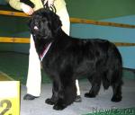 Превью фото № 10209