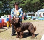 Превью фото № 102093