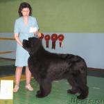 Превью фото № 10213