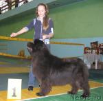 Превью фото № 10214