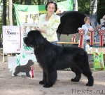 Превью фото № 102219