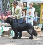 Превью фото № 102222