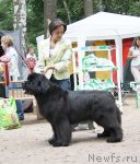 Превью фото № 102228