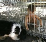 Превью фото № 102535