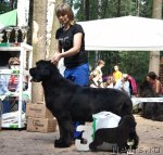 Превью фото № 102549