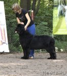 Превью фото № 102552