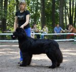 Превью фото № 102563