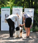 Превью фото № 102574