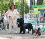 Превью фото № 102606