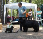 Превью фото № 102669