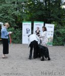 Превью фото № 102747