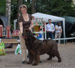 Превью фото № 102755