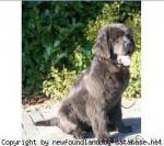 Превью фото № 1029