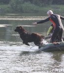 Превью фото № 103059