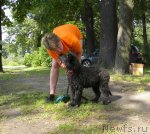 Превью фото № 103150