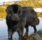 Превью фото № 103152