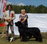 Превью фото № 103183