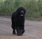 Превью фото № 103326