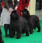 Превью фото № 103352