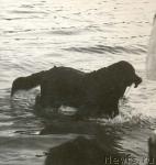 Превью фото № 1036