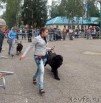 Превью фото № 103610