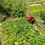 Превью фото № 103852