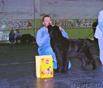 Превью фото № 10394