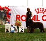 Превью фото № 104145