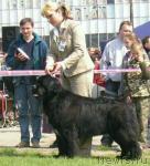 Превью фото № 10421