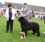 Превью фото № 10423